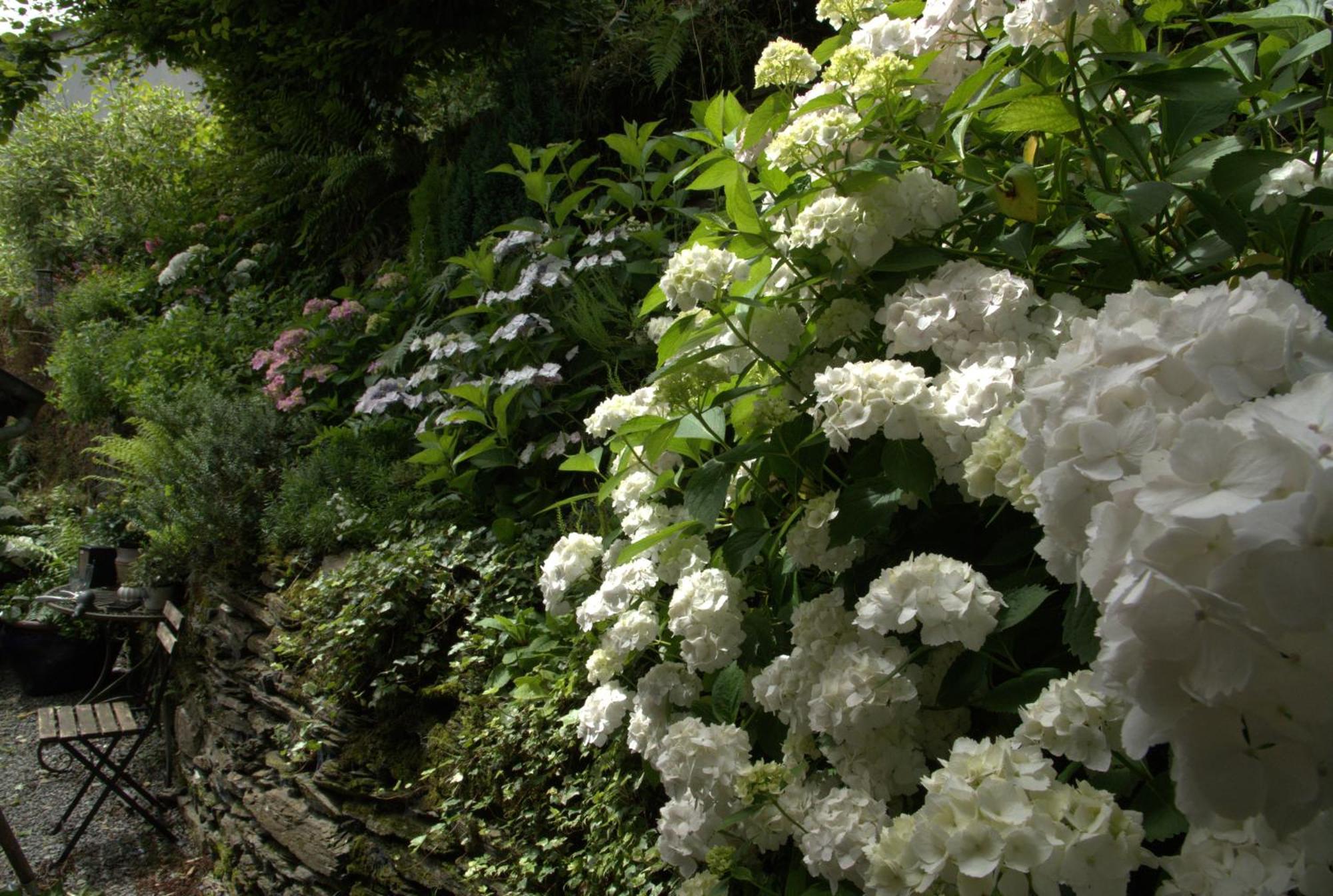 Au Charme Du 13 Faubourg De France A Bouillon别墅 外观 照片
